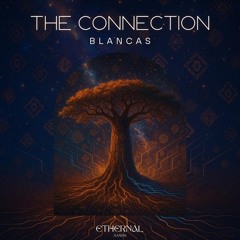 The Connection