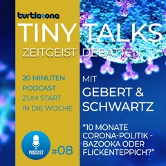 Turtlezone Tiny Talks - 10 Monate Corona-Politik - Bazooka oder Flickenteppich?