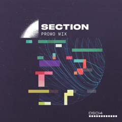 SECTION – [DSCI4 Promo Mix]