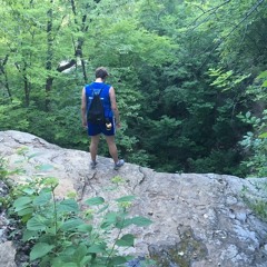 Songs About the Woods