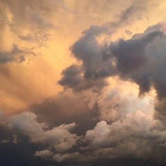 ~ The Promise Of The Dusk ~