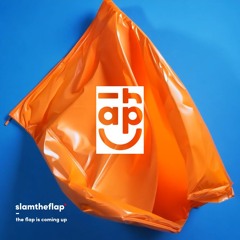 The Flap is Coming Up [Original Remix]