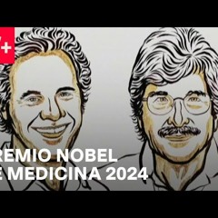 Premio Nobel de Medicina 2024: La Epigenética y los microARN