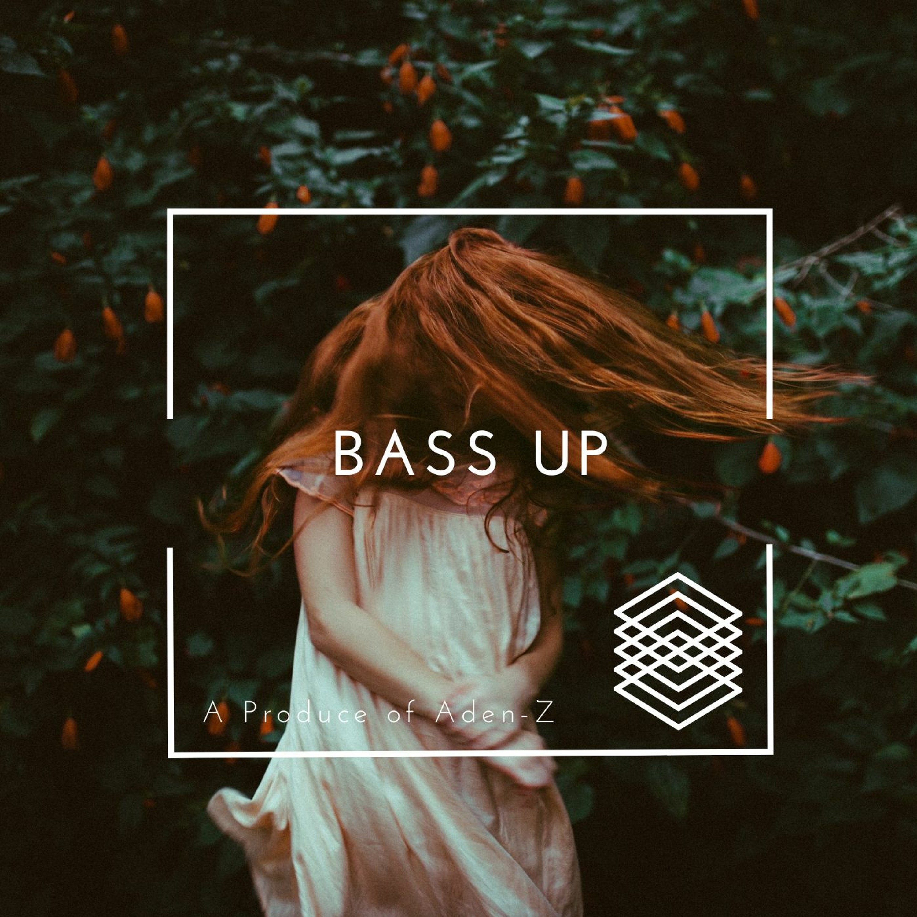BASS UP episode artwork