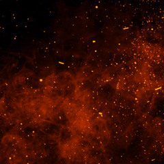 Embers[2025]