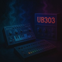 UB303