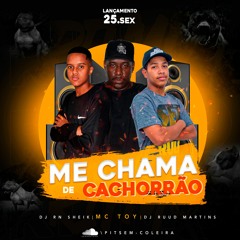 Stream PIT SEM COLEIRA 🐶💯 music | Listen to songs, albums ...