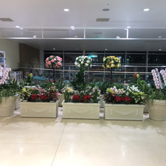 【延期】お別れ会のセミナー