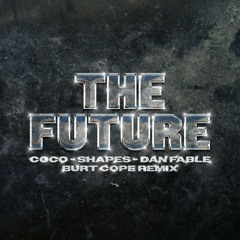 Coco, Shapes, Dan Fable - The Future (Burt Cope Remix)