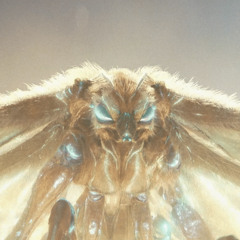 Peanut Man (Doechii <> Missy Mashup 3)