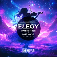 Juan Almiñana Obando, Sam Fletcher & Ruslan Aschaulov - Elegy (Mathias Moor Remix)