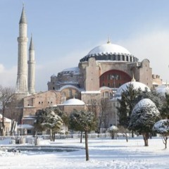 Cold Turkey - STBB #775