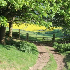 Springtime In Wye Valley