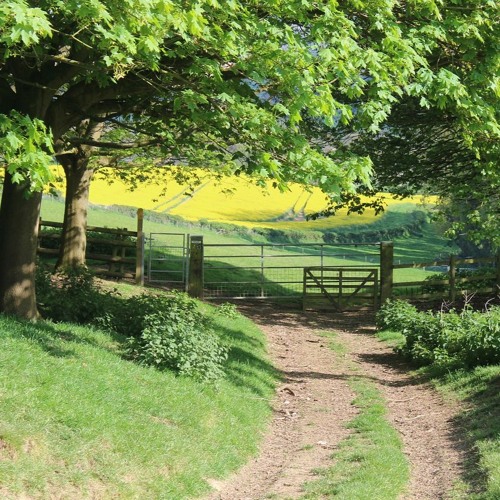 Springtime In Wye Valley