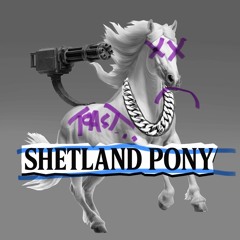 Nine and Dex- Shetland Pony Toast Remix
