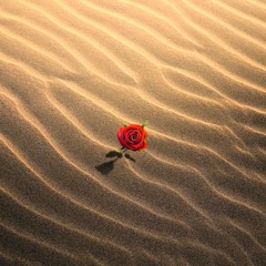 Hope For The Hopeless