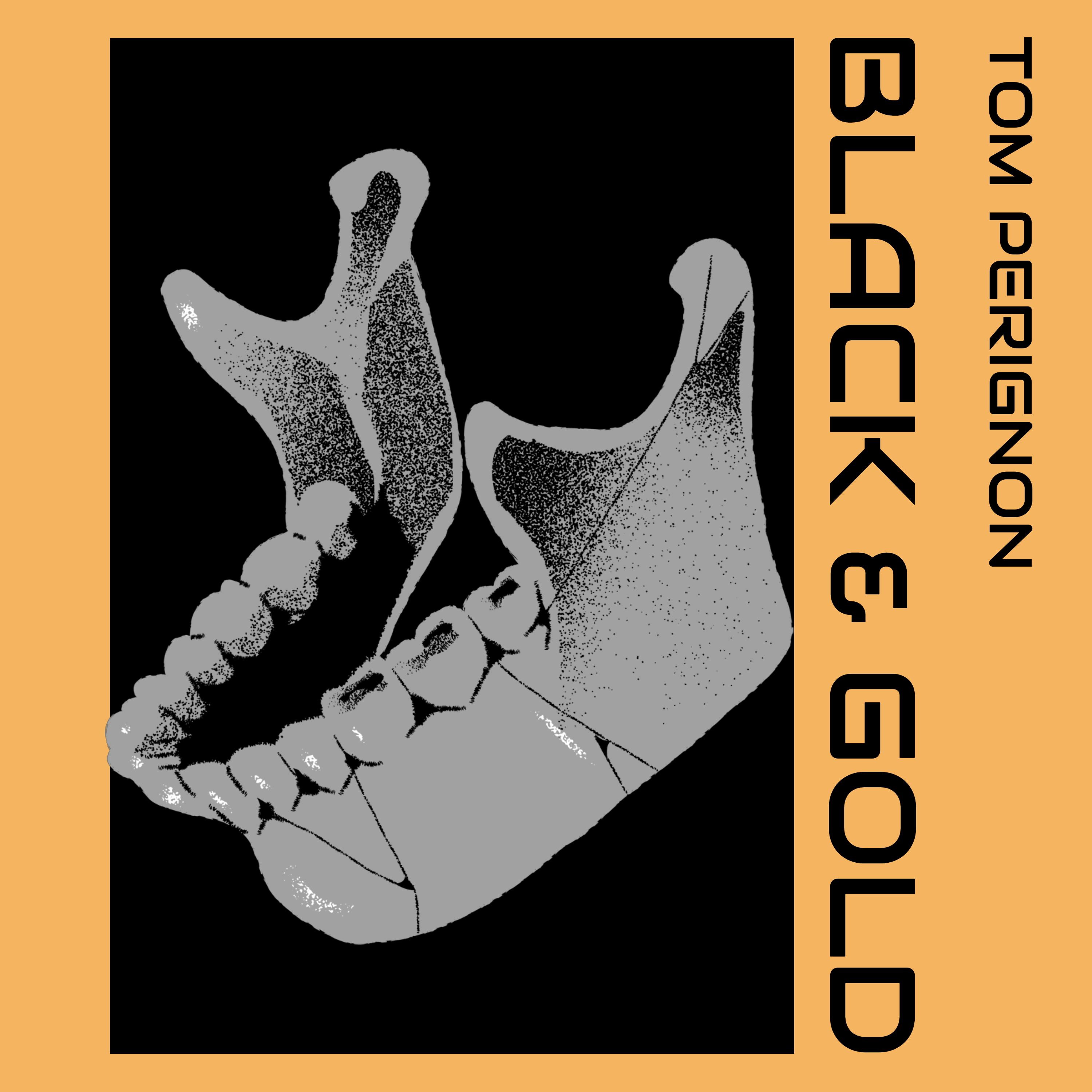 BLACK & GOLD (TOMMY’s EURODANCE FLIP)