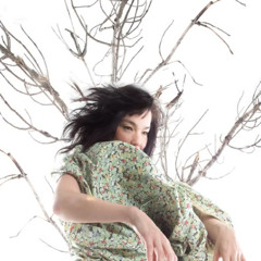 Elven soul (@flordepiedra)