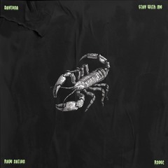 Daytona - Stay (Radio Edit)