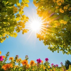 Hisaishi - One Summers Day