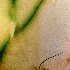 Who I Am
