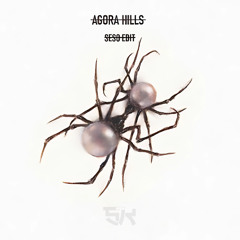 Doja Cat - Agora Hills (Seso 4AM Edit) [Free Download]