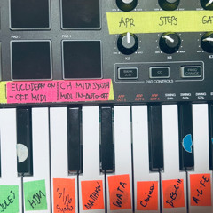 Mitospora: LIVE Set from Studio, June 2025