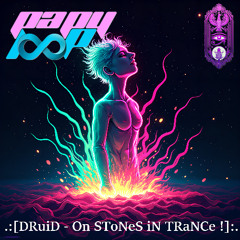DRuiD - On SToNeS iN TRaNCe !