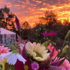 better for it - edit audio