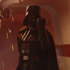 i will tolerate your weakness no longer (darth vader x dieagain)