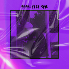 Bushi - La Vie En Mauve (feat.ypm)