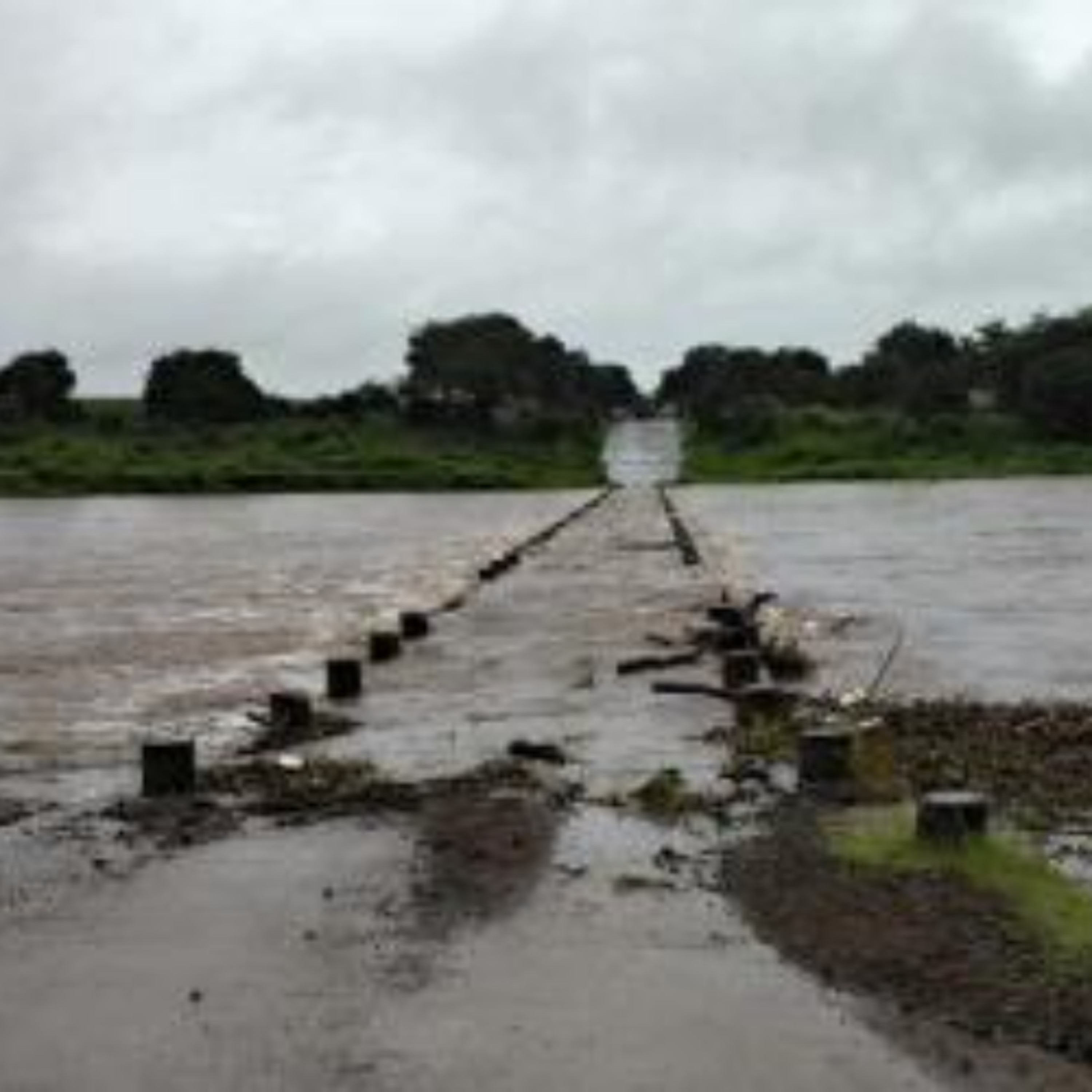 Kruger National Park Update: R Thakhuli