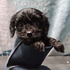 Caverns (prod. DURBENTIA)