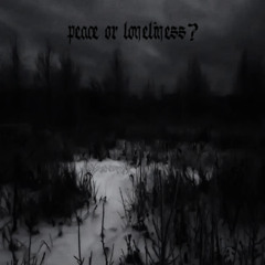 peace or loneliness? - slowed