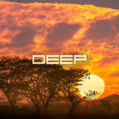 DEEP XXVIII [Rüfüs Du Sol, Ben Böhmer, Hel:slowed, Estiva, Elderbrook and more]