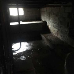i fell in love with this basement, and you  (prod. x.xcupidx.x)