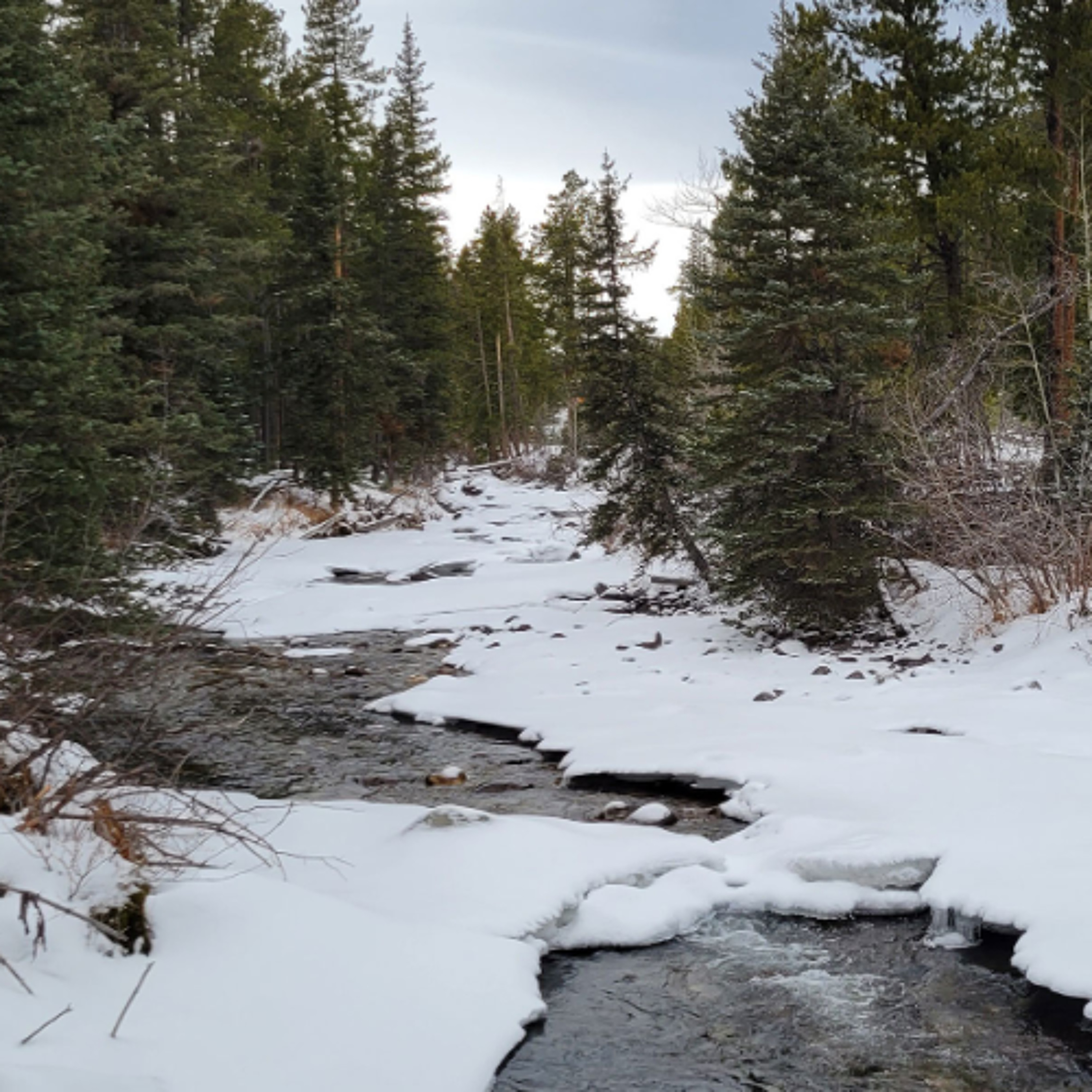 West Fork of Rock Creek episode artwork