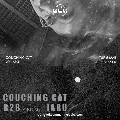 Couching Cat w/ Jaru - 5th March 2024