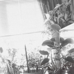 There Was Nobody Left