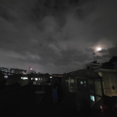 Moonlight
