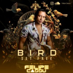 Bird Set Free - Felipe Cassu Set Mix