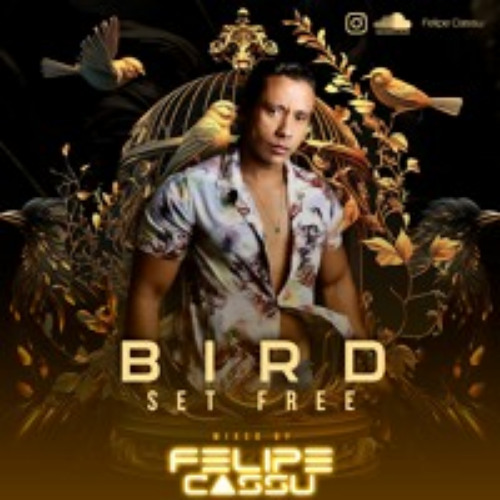 Bird Set Free - Felipe Cassu Set Mix