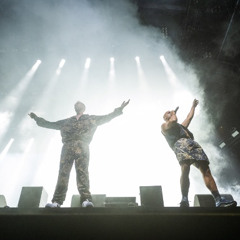 The Opposites - Live At Lowlands 2022