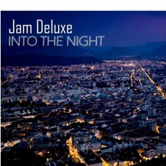Into The Night - Ken Raw & Sommerfügl)