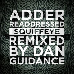 Squiffeye - Bye Bye Babylon - Dan Guidance Remix - Edit