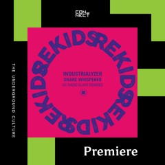 PREMIERE: Industrialyzer - Snake Whisperer (Radio Slave Remix) [Rekids]