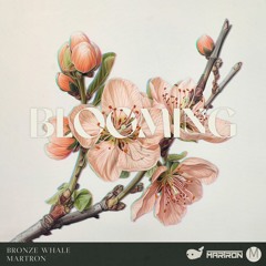 Bronze Whale X Martron - Blooming