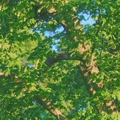 chill indie song in 15