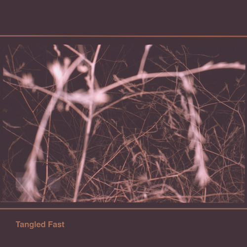 Tangled Fast
