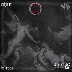 Premiere: OHIN - Till I Come (Høbie Remix) [WLR007]